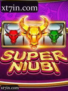 SuperNiubi
